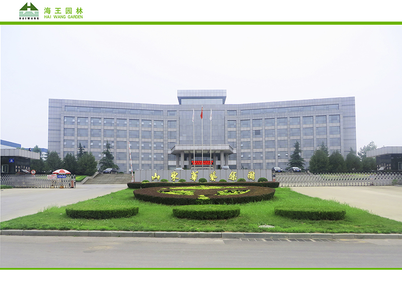 山東華藝集團(tuán)